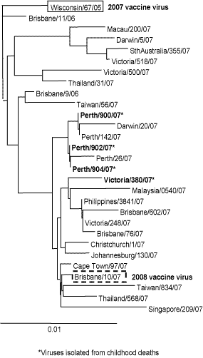 Figure 17. Evolutionary relationships between influenza A(H3) haemagglutinins (HA1 region)