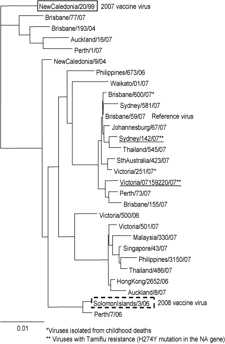 Figure 18. Evolutionary relationships between influenza A(H1) haemagglutinins (HA1 region)