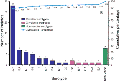 Figure 3. Panel B serotypes in the 23vPPV vaccine