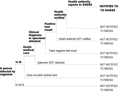 Figure 4. Fraction of cases notified to National Notifiable Diseases Surveillance System