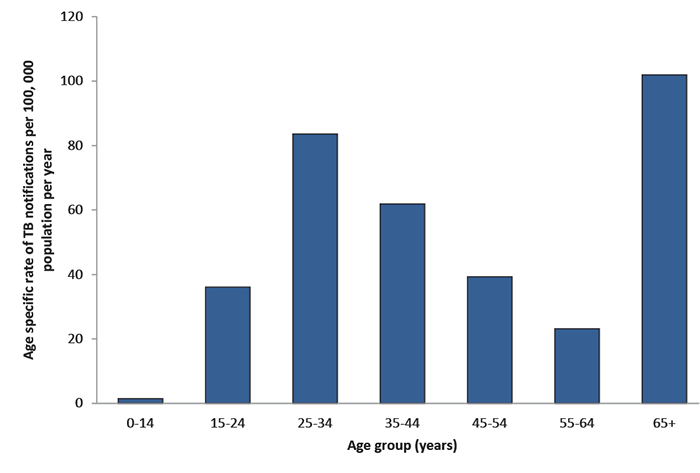 Column graph for the period 1 January 2006 to 31 December 2015. The graph shows the rate of TB notifications per 100, 000 population per year in the ACT by age group. The highest rate of notifications is in the 65+ year age group, followed by the 25-34 ye