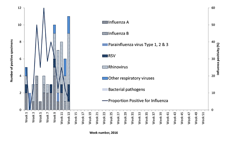 Figure 2 - Figure 2 shows ASPREN swab testing results from 1 January to 31 December 2016 by week of report. Viruses monitored are as follows: influenza A, influenza B, respiratory syncytial virus, parainfluenza virus type 1, 2 and 3, adenovirus, rhinoviru