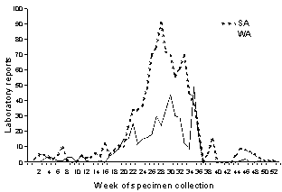 Figure 5. Influenza A laboratory reports, by week, SA and WA, 1998