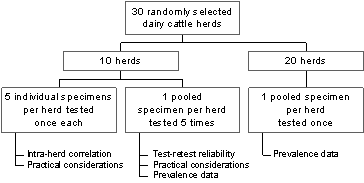 Figure. Design of the pilot study for assessing prevalence of resistance, intra-herd clustering, and test-retest reliability